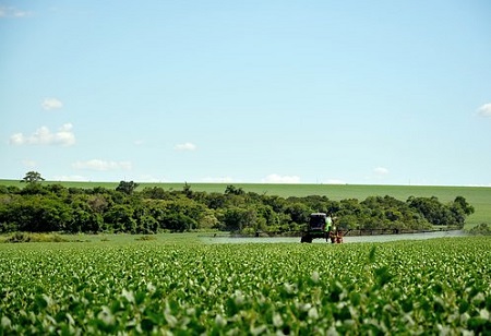 Los beneficios y riesgos de los agroquímicos en la agricultura