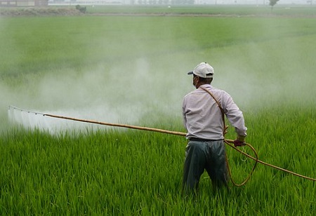 ¿Por qué el herbicida de hoja ancha es esencial para el cuidado del césped?