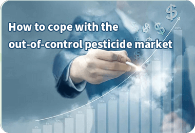 Consejos para usar herbicida de hoja ancha de manera segura y eficaz