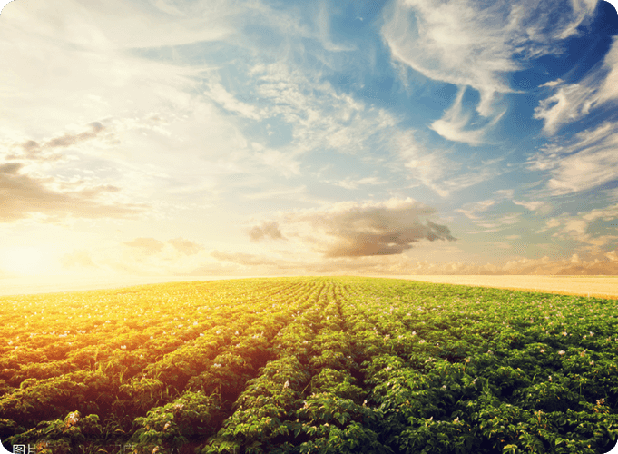 ¿Cuál es la sustancia química más común utilizada en la agricultura?