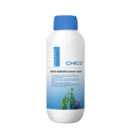 Pincado CHICO®Fertilizante orgánico Extracto de algas líquidas