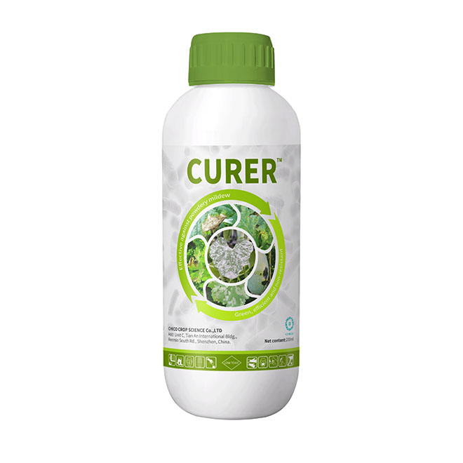 CURER®-Bio fertilizante para enfermedades fúngicas