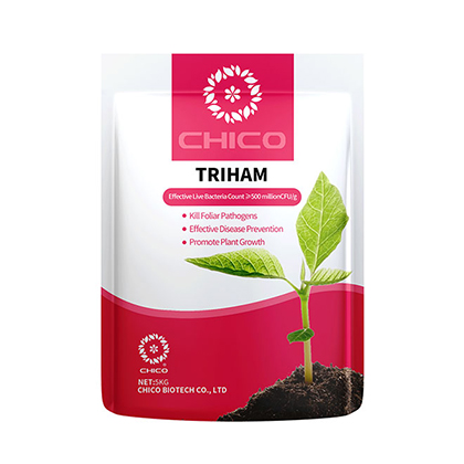 TRIHAM®-Bio-Trichoderma harzianum Bioestimulante para la enfermedad de los cultivos