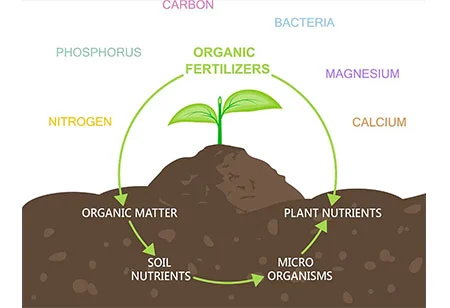 Desarrollar la agricultura ecológica y hacer un buen uso de fertilizantes biológicos