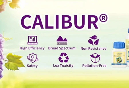 Cómo prevenir la enfermedad de los cultivos durante la temporada de lluvias