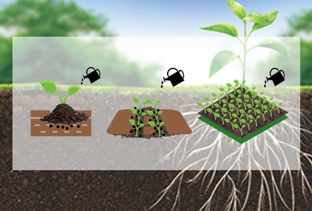 Oro arpha®-Utilización de hongos beneficiosos para la agricultura sostenible