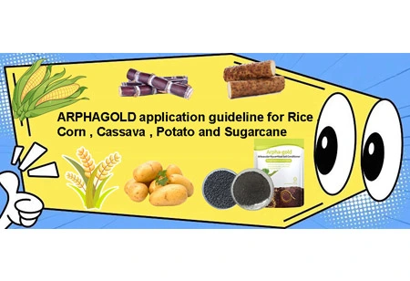 ¿Guía DE SOLICITUD DE ARPHAGOLD para arroz, maíz, yuca, papa y caña de azúcar?