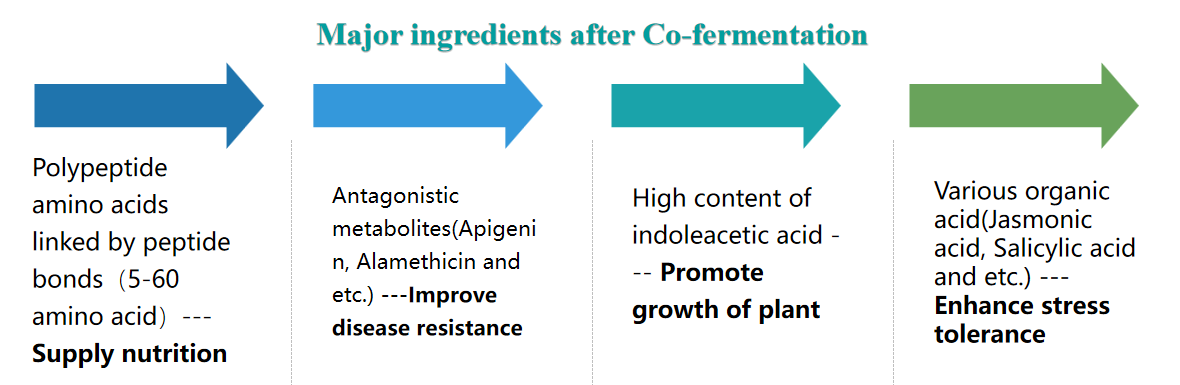 CHICO BIOAMINO<ALIMT >&trade;</ALIMT> application guideline for different crop